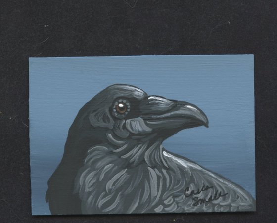 Crow Raven