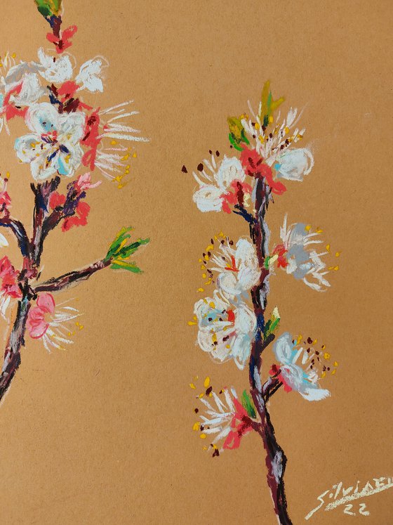 Apricot blossom and the bee