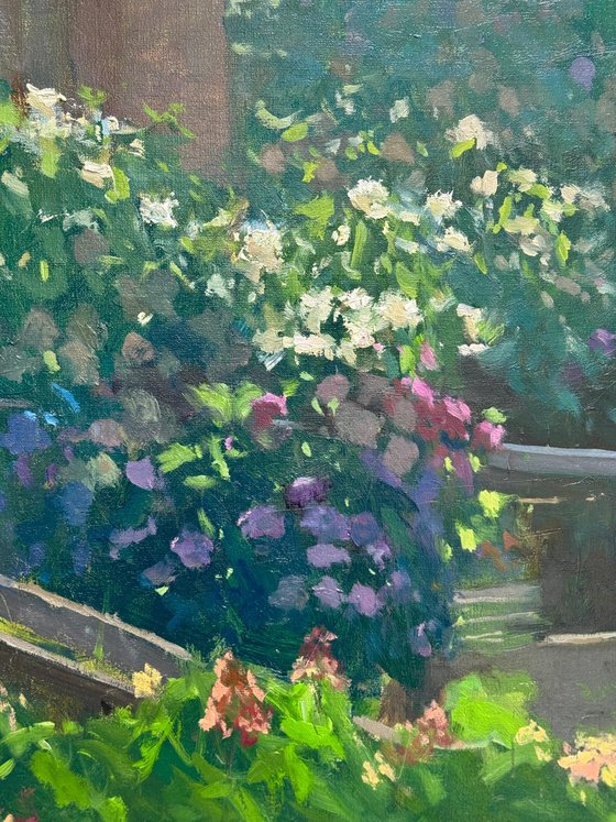 Hydrangeas at the Villa