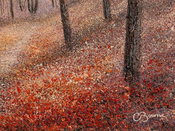 THE SCRUNCH OF AUTUMN LEAVES