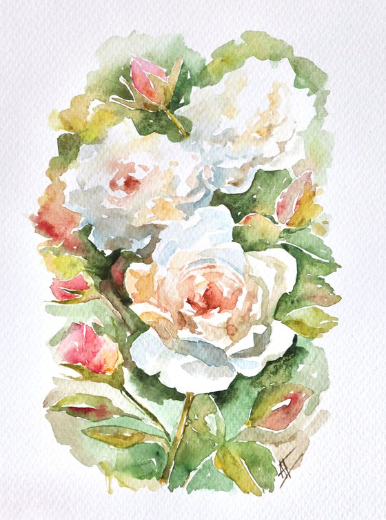 Watercolor roses illustration. White roses with pink on green leaves