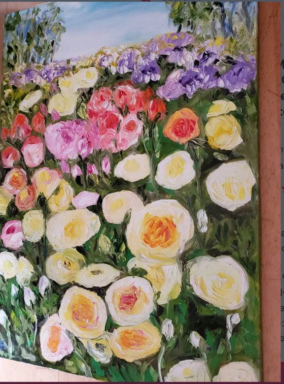 Summer day, rose garden
