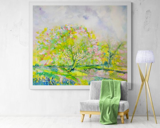 Cherry Blossom Lane 2025