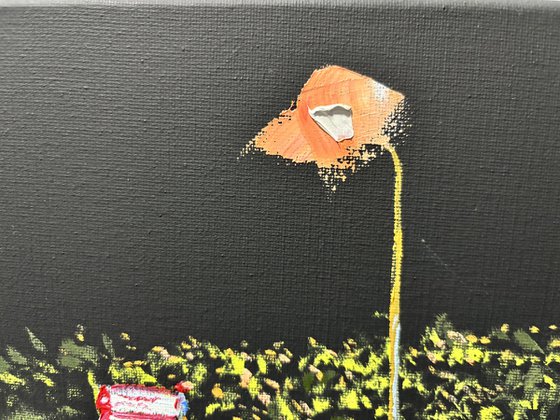 Street Signs in the Dark