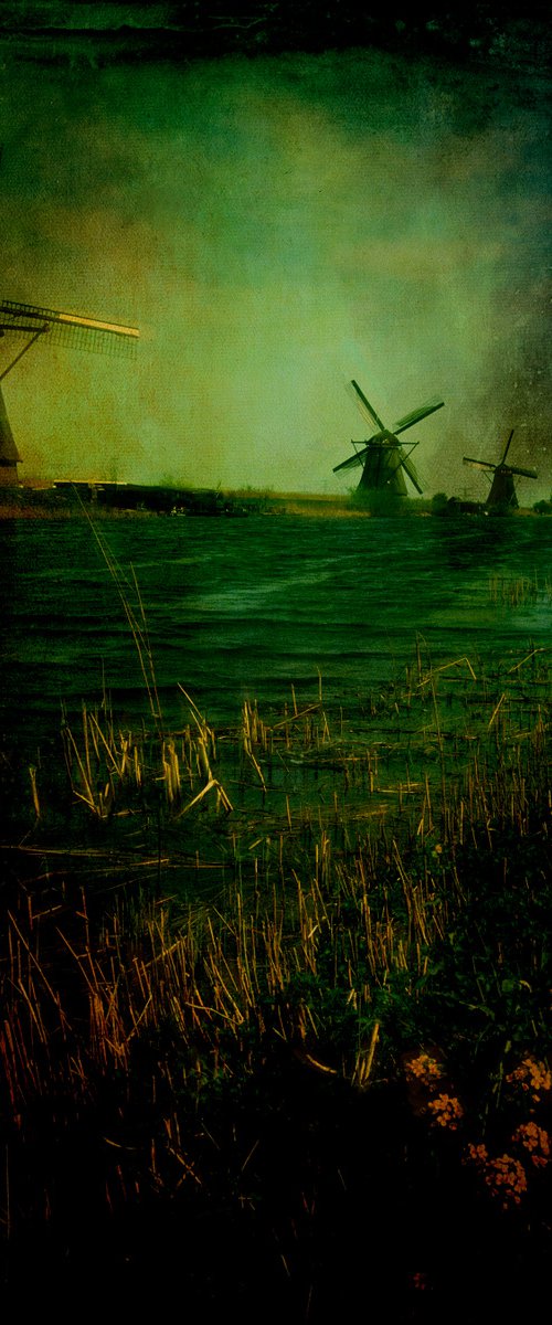 kinderdijk windmills by Martin  Fry