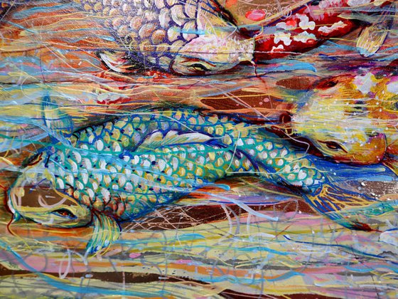 Koi Fish and the Swift Current of the Golden River