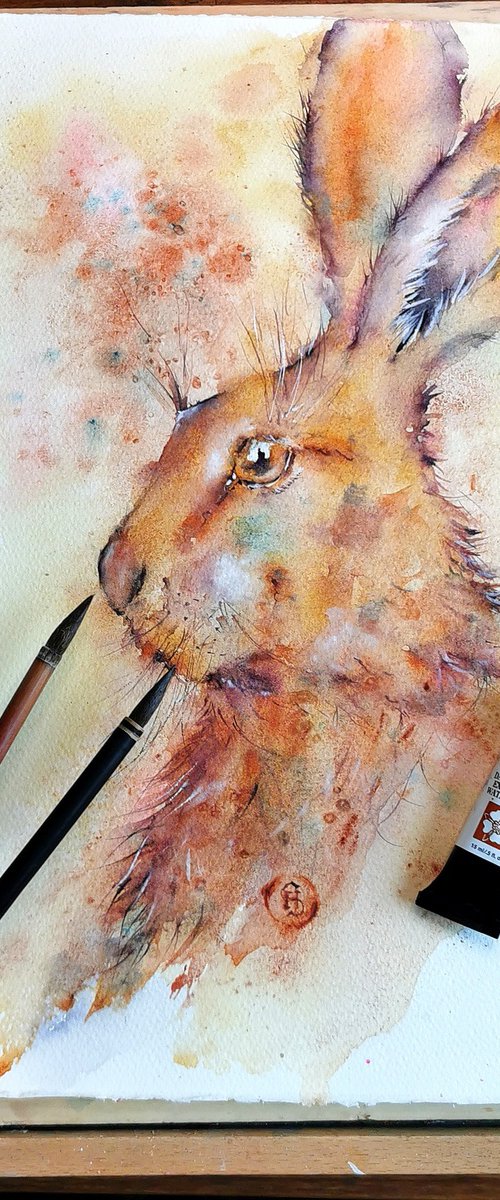 Hare by Sveta Hubmann