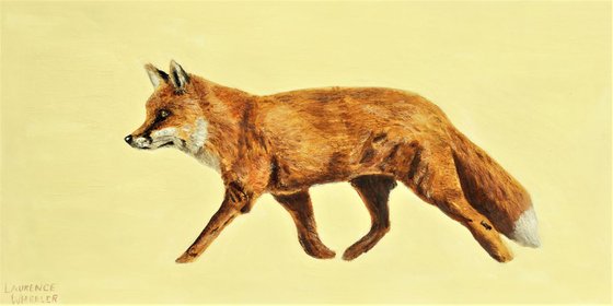 'Fox'
