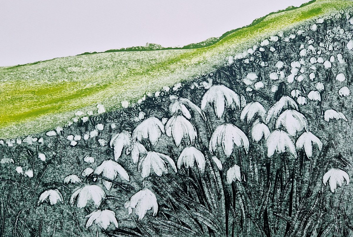 Snowdrop Hill by Jo Biggadike