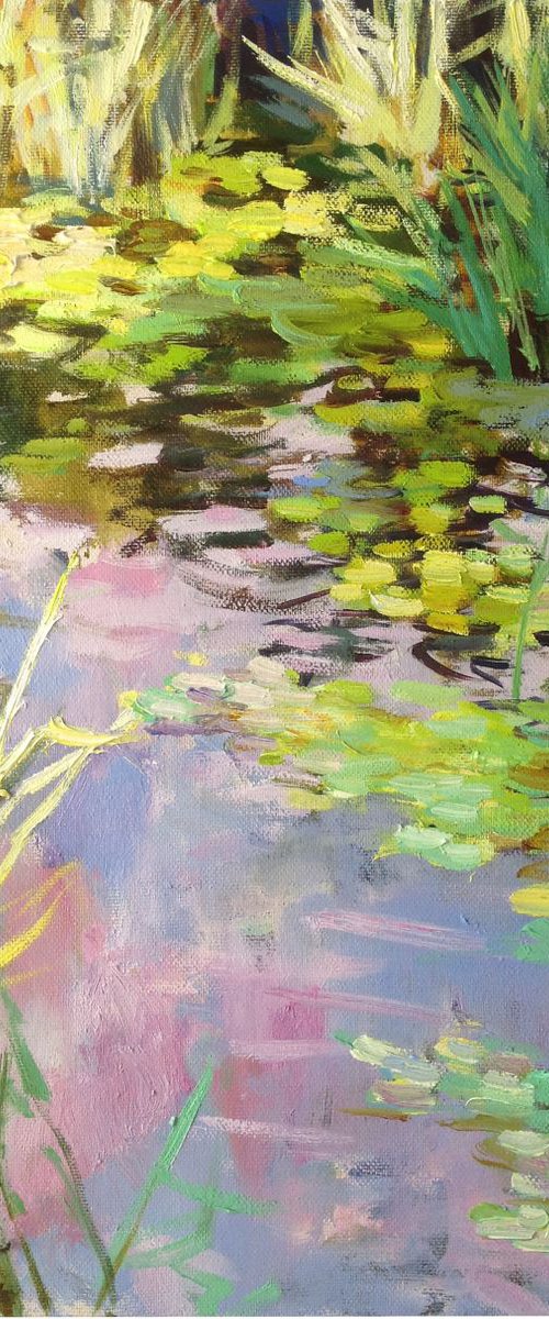Summer evening / water lilies pond  light oil painting  river lily by Nataliia Nosyk
