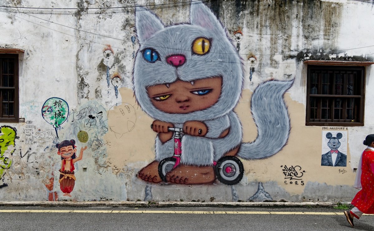 Organic Photograph , Scooter Cat By Marc Ehrenbold, 39 X 30, Artwork For Sale On Artfinder