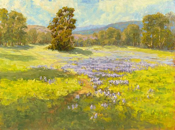 Spring Meadow With Lupine Flowers