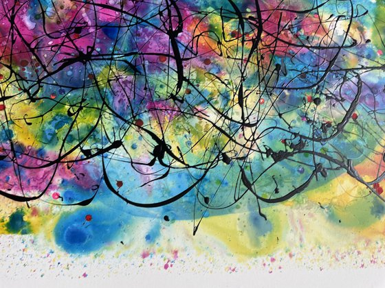 Echoes of the Rainbow