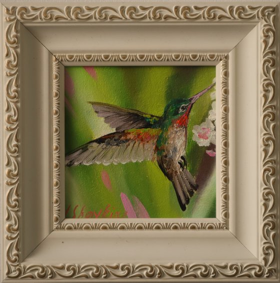 Hummingbird