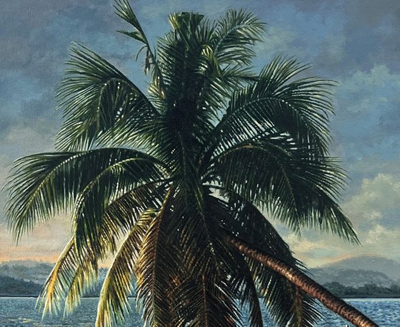 Evening Backwater