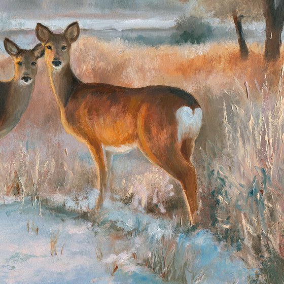 Snowy landscape with deer