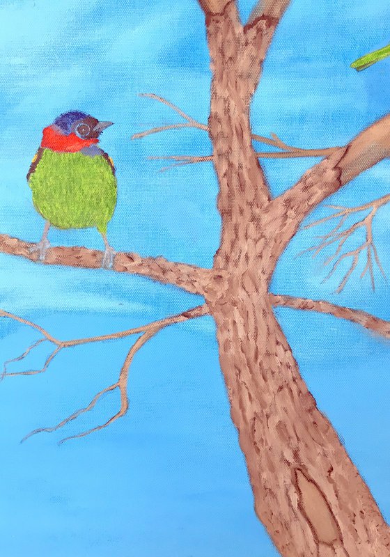 BIRDS OF A FEATHER #2