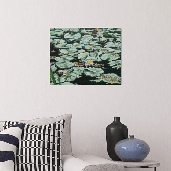 Waterlilies 5