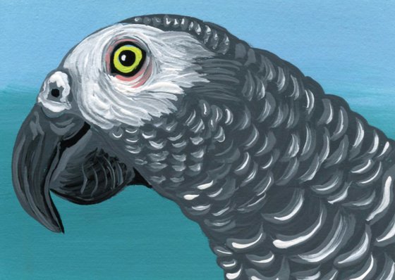 ACEO ATC Original Miniature Painting African Gray Parrot Pet Bird Art-Carla Smale