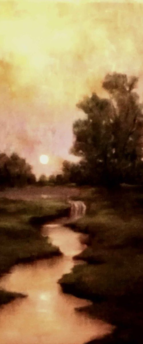 Moonlight by Daniela Roughsedge