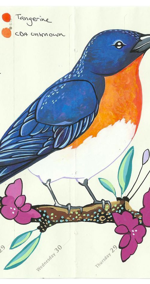 Birds of North America: Bluebird by Fran Giffard