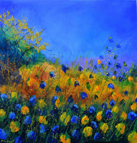 Yellow and blue meadow -8823