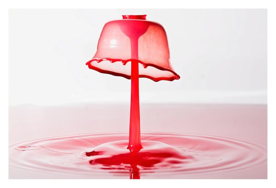 'Gossamer Protection' - Liquid Art Waterdrop Collection