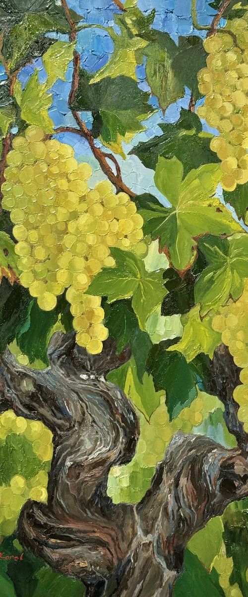 Sun-kissed vine by Ulyana Korol