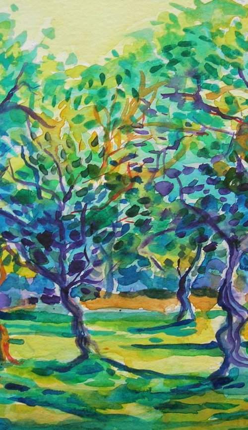 Breeze in olive orchard II by Maja Grecic