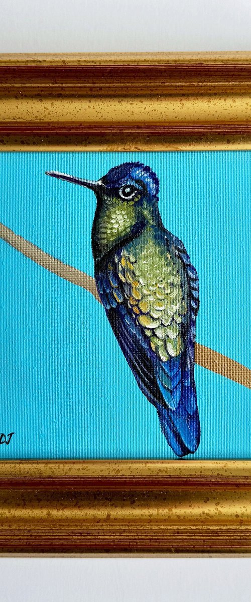 Hummingbird Yellow Back by Deborah Jones