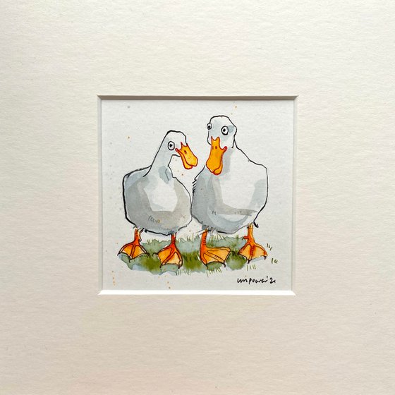 Duck Buddies #01