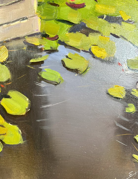 Small Pond with Water Lilies