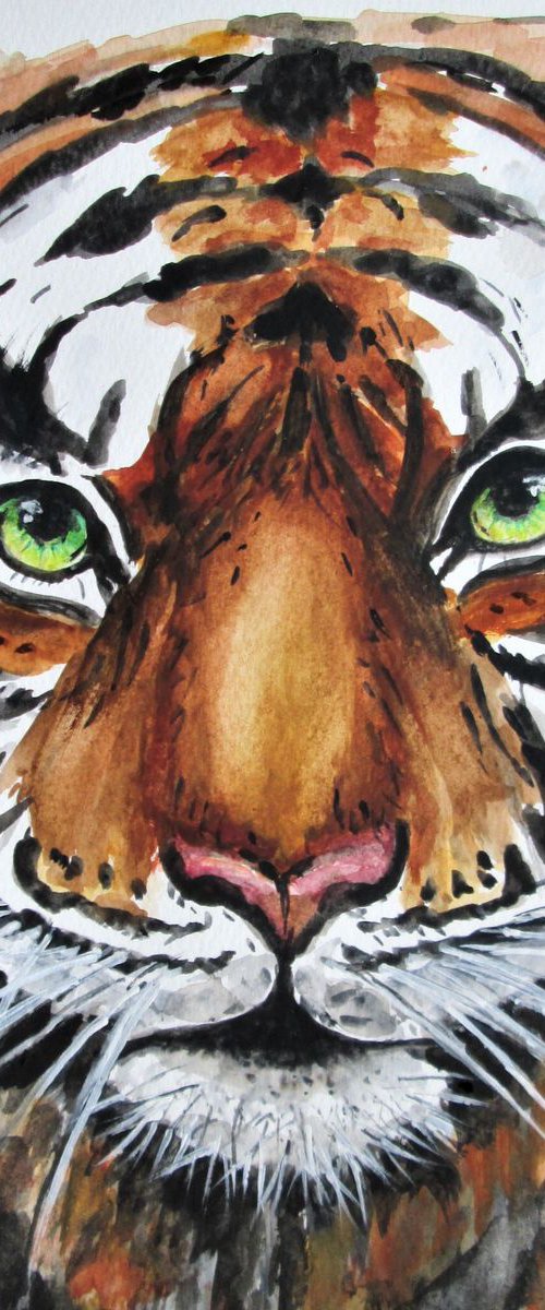 Tiger Portrait by MARJANSART
