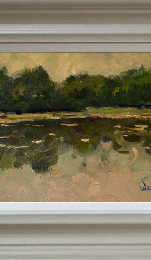 Burton Mill Pond by Andre Pallat