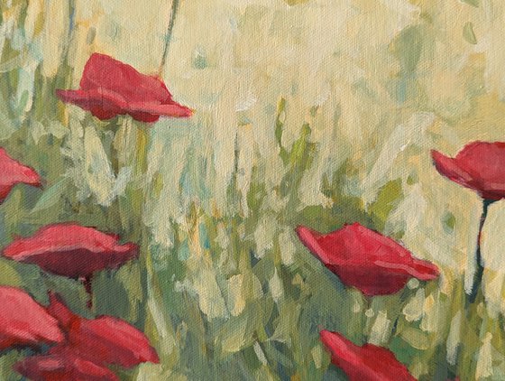 Poppies and Sunshine