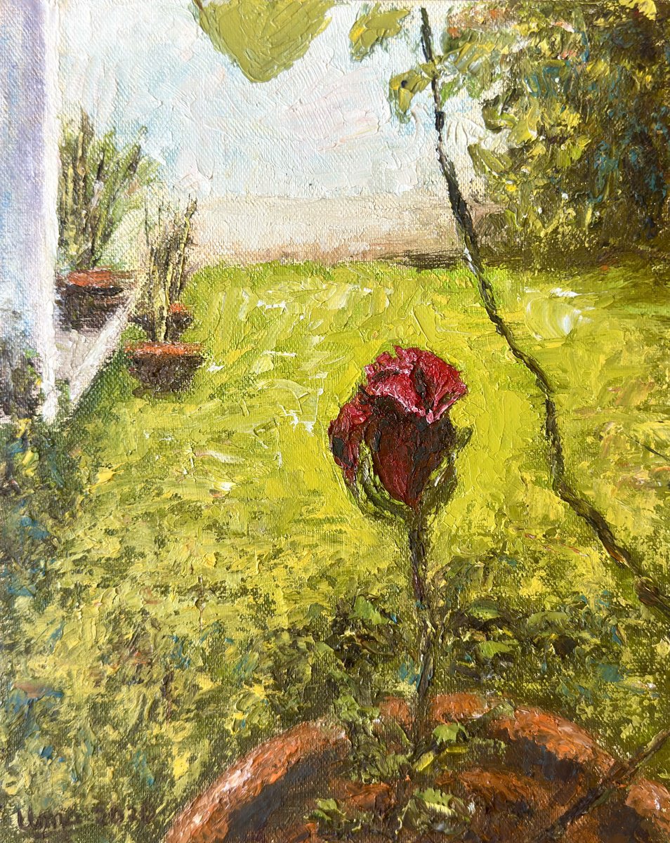 Flowers From My Garden 5 By Uma Krishnamoorthy, 8 X 10, Artwork For Sale On Artfinder
