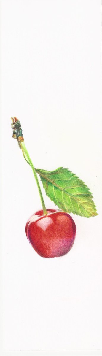My Wild Berries as Bookmarks - The Cherry by Katya Santoro