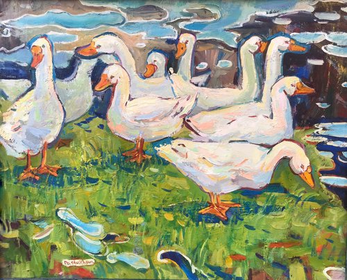 ducks by Yuliia Pastukhova