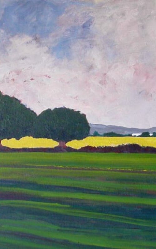 ACROSS A SUNLIT FIELD by David J Edwards