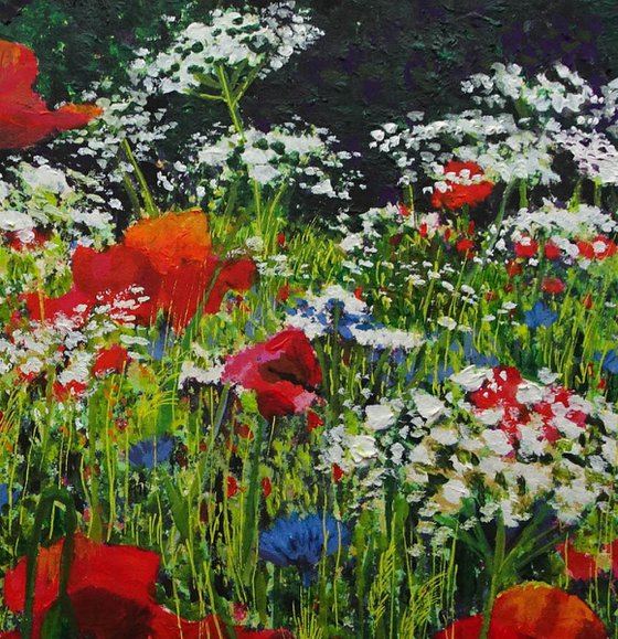 Wildflower Meadow 6