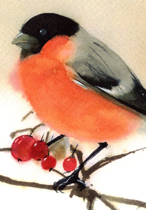 BIRD CCXXIX - Bullfinch