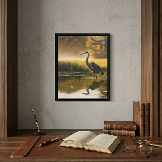 Great Blue Heron on Marsh
