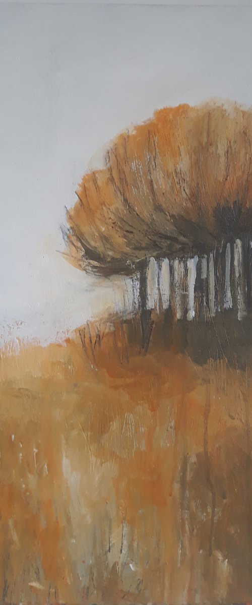 As Autumn Leaves Start To Fall... by Fiona Philipps