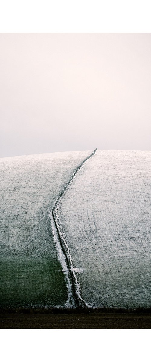 Hill Line I by David Baker