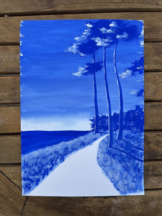 Ultramarine coastal path