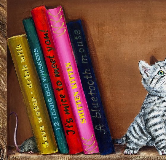 Bookshelf with a kitten