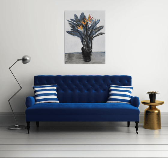 Strelitzia (Bird of Paradise)