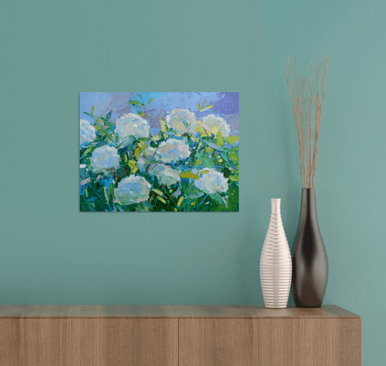 "  Hydrangea "