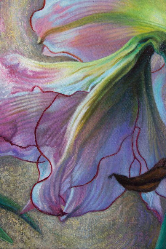 Pink Amaryllis Triptych