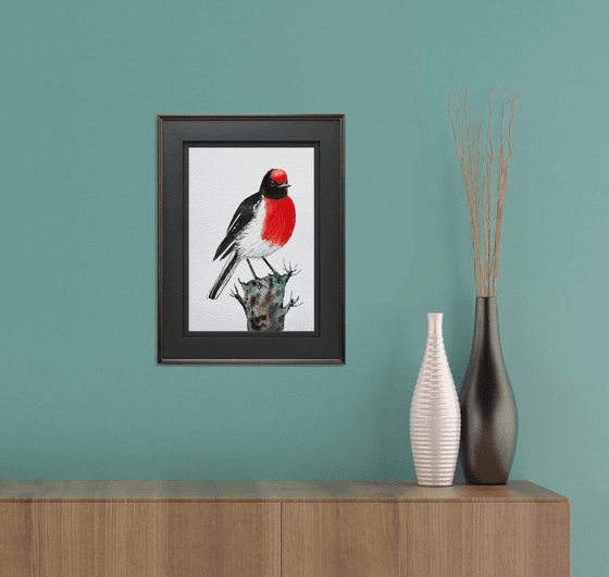Red-capped Robin
